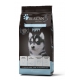 Ibercan puppy 15kg