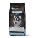 Ibercan puppy 15kg