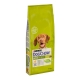 Pienso para perros adultos Dog Chow Pollo Adult